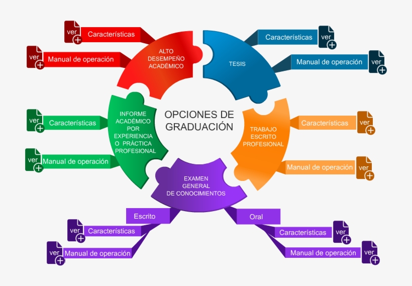 Graduacion - Diagram, transparent png download