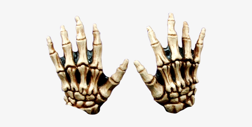 600 X 600 1 - Skull Hands Png, transparent png download