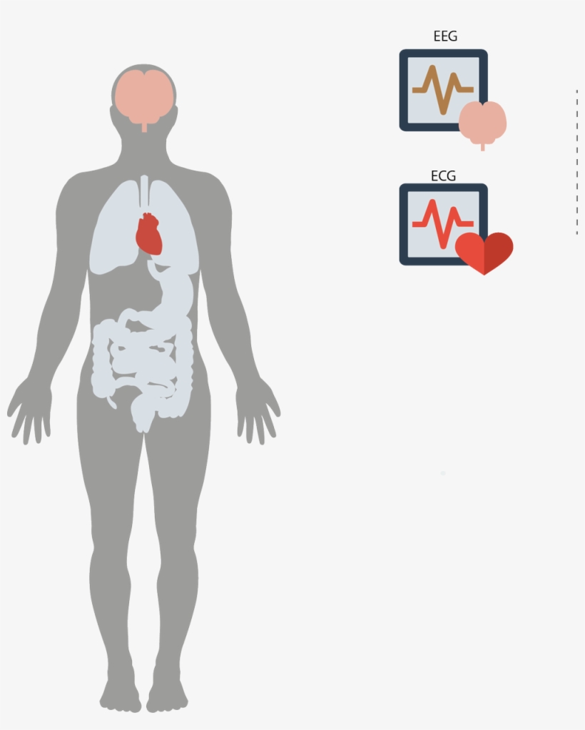 Manos Tsakiris On Twitter - Human Body, transparent png download