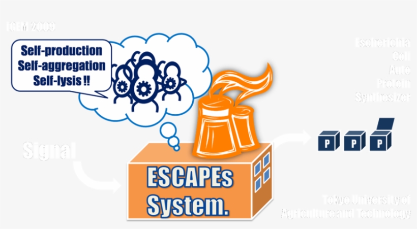 Unfortunately, Procedures Can Often Be Quite Laborious, transparent png download