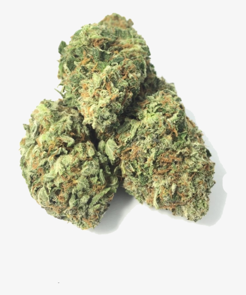 Death Tuna Indica The Healing Co - Muthia, transparent png download