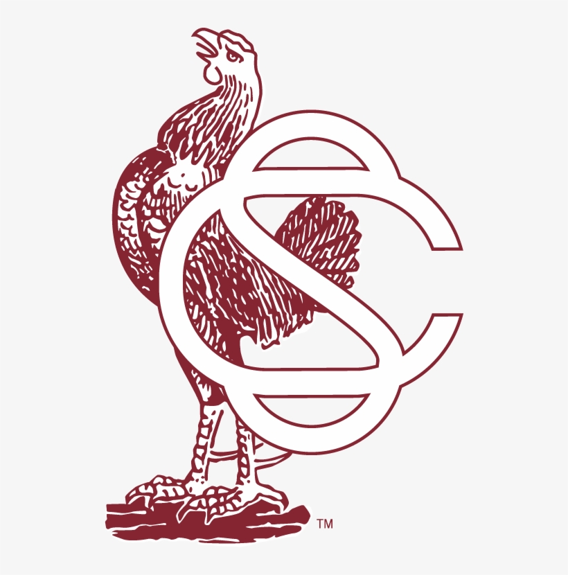 T Odonnell Landscaping Hardscapes - Vintage South Carolina Gamecock Logo, transparent png download