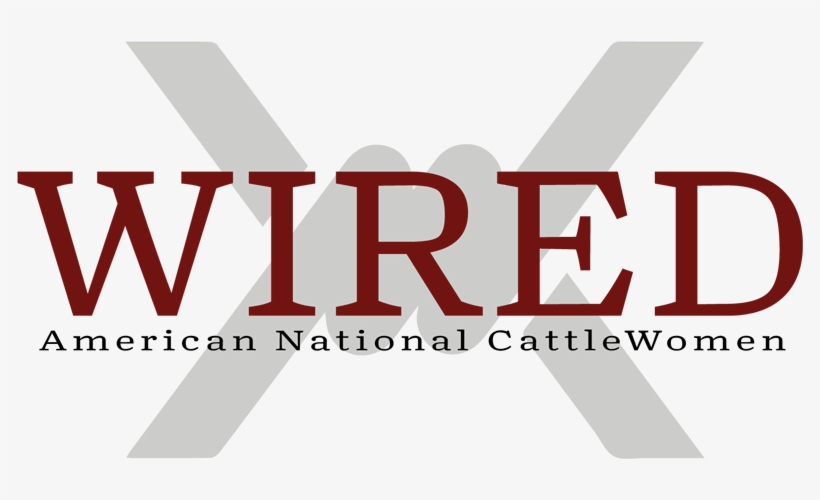 Ancw Wired Program - Fête De La Musique, transparent png download