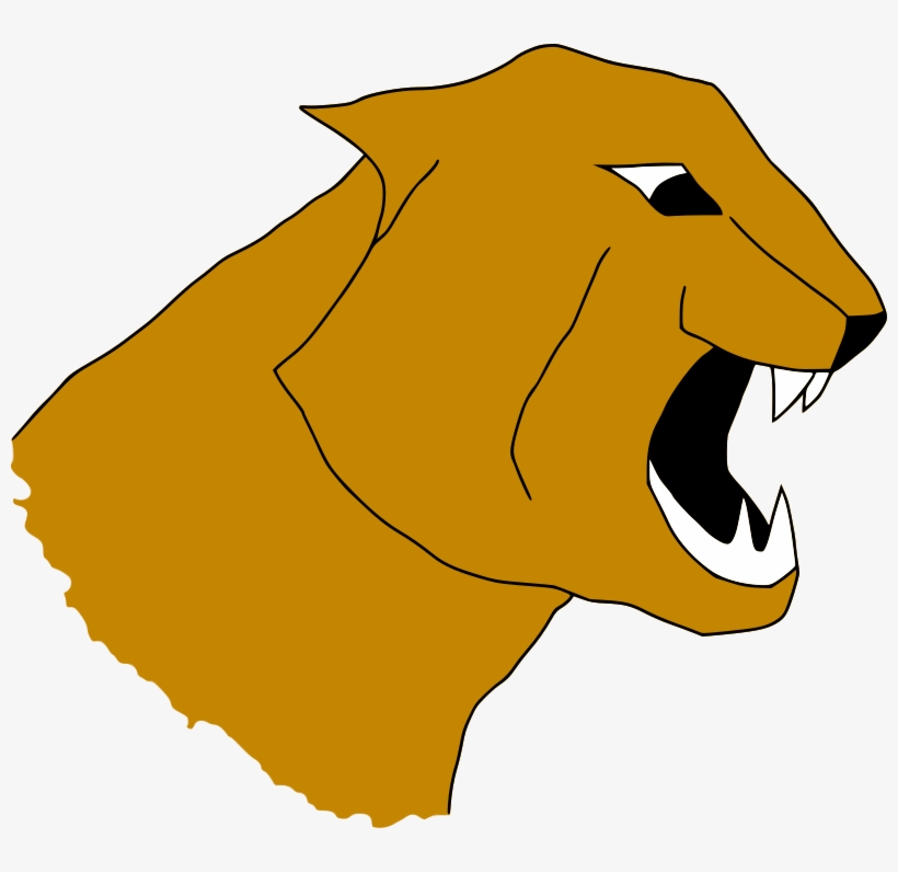 Medium Image - Puma Png, transparent png download