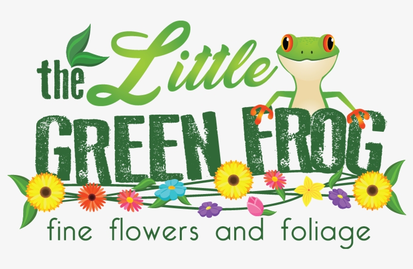Welcome To The Little Green Frog Fine Flowers And Foliage - African Daisy, transparent png download