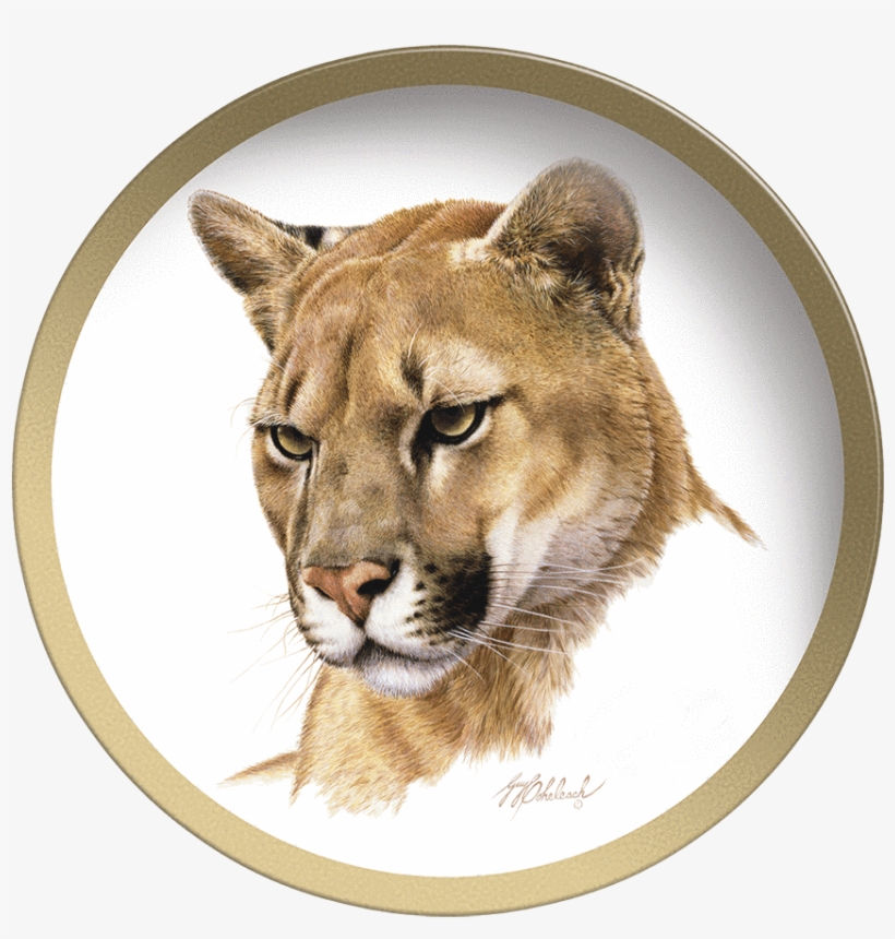 Guy Coheleach, transparent png download