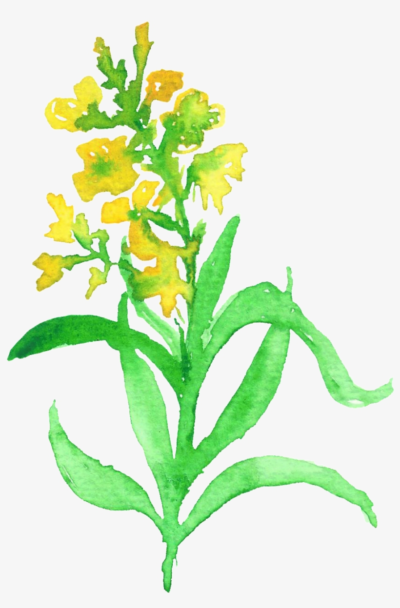 Yellow Edged Petals Transparent Decorative, transparent png download