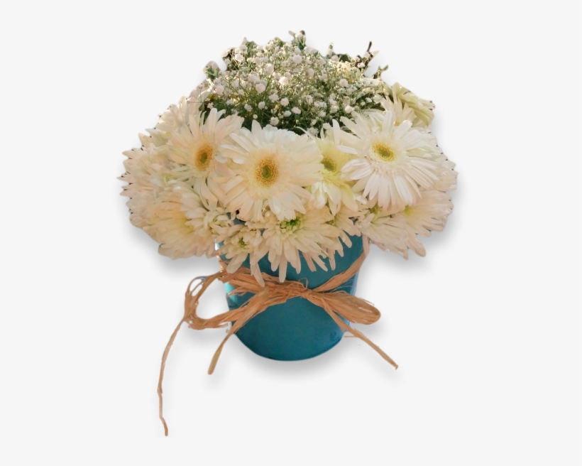Send Flowers To Jordan - Barberton Daisy, transparent png download