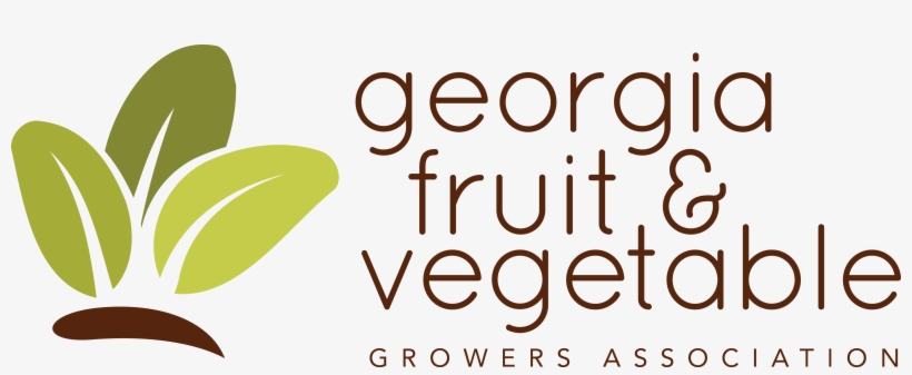 Georgia, transparent png download
