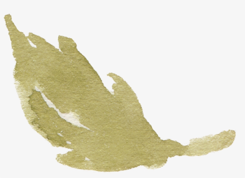 Watercolour - Cartoon, transparent png download