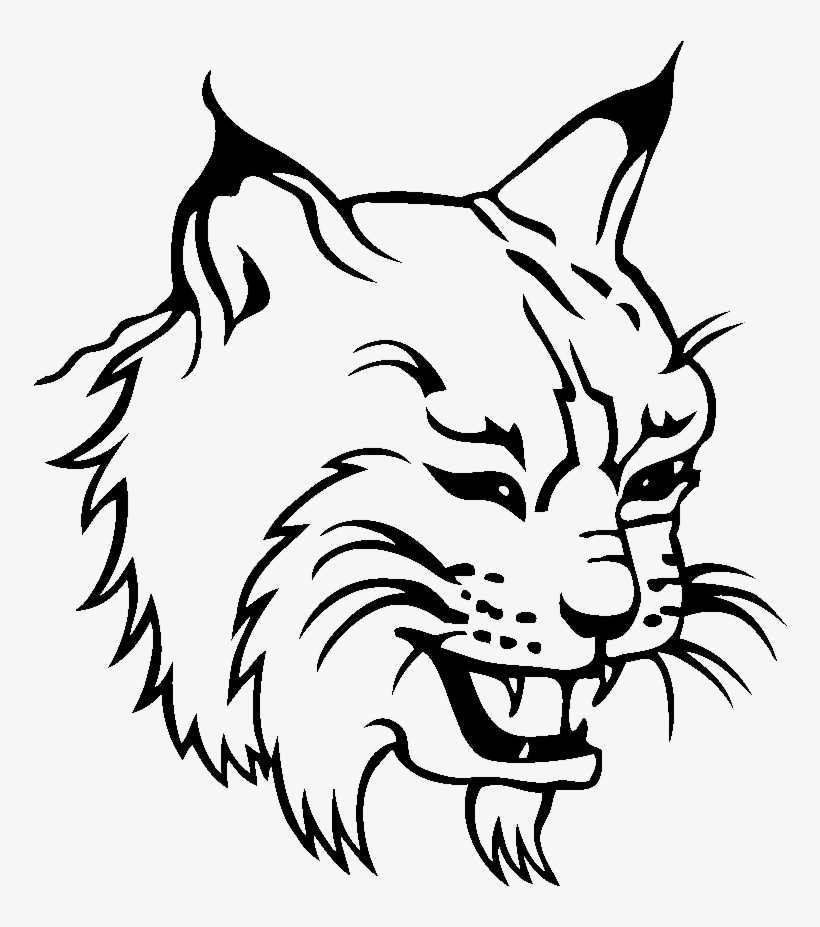 Lynx Png Photo - Video Game, transparent png download