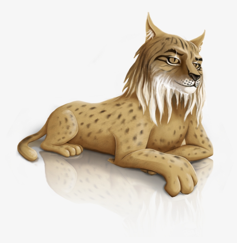 Iberian Lynx Png, transparent png download