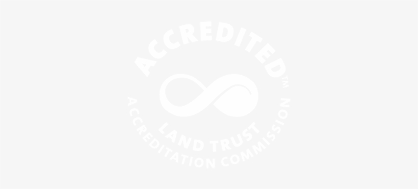 Facebook Instagram - Portable Network Graphics, transparent png download