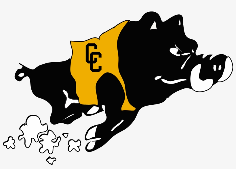 Nfhs Network Royalty Free Stock - Colquitt County Packers Mascot, transparent png download