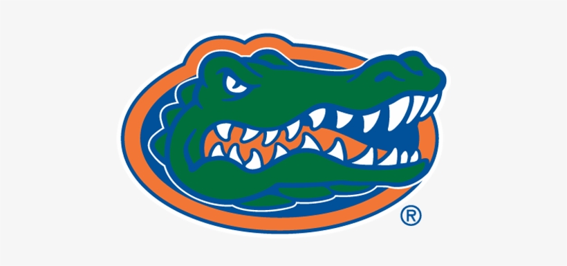 The City Of Jacksonville Hosts A Fun Filled, Super - Florida State Basketball Logo, transparent png download