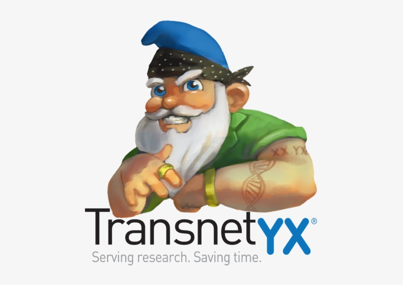 "lil' G-nome\ - Design, transparent png download