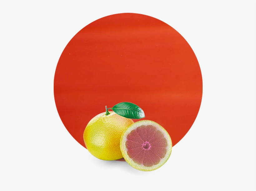 Today, We Grow Pink Grapefruit In Southeastern Spain, - Rangpur, transparent png download
