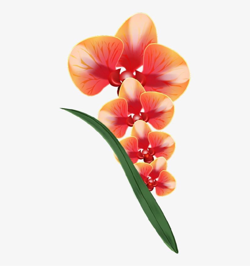 Png Клипарт "realistic Vector Delicate Orchids" - Clip Art, transparent png download