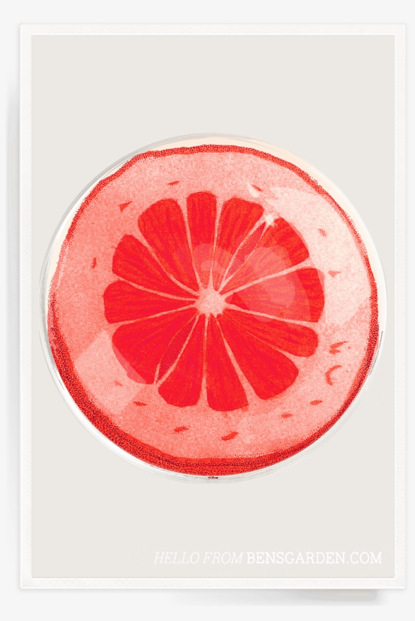 Blood Orange Slice Round Decoupage Glass Tray - Ben's Garden, transparent png download