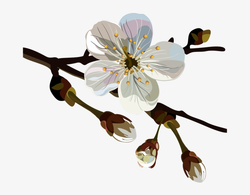 Png Клипарт "spring Floral" - Plum Blossom, transparent png download