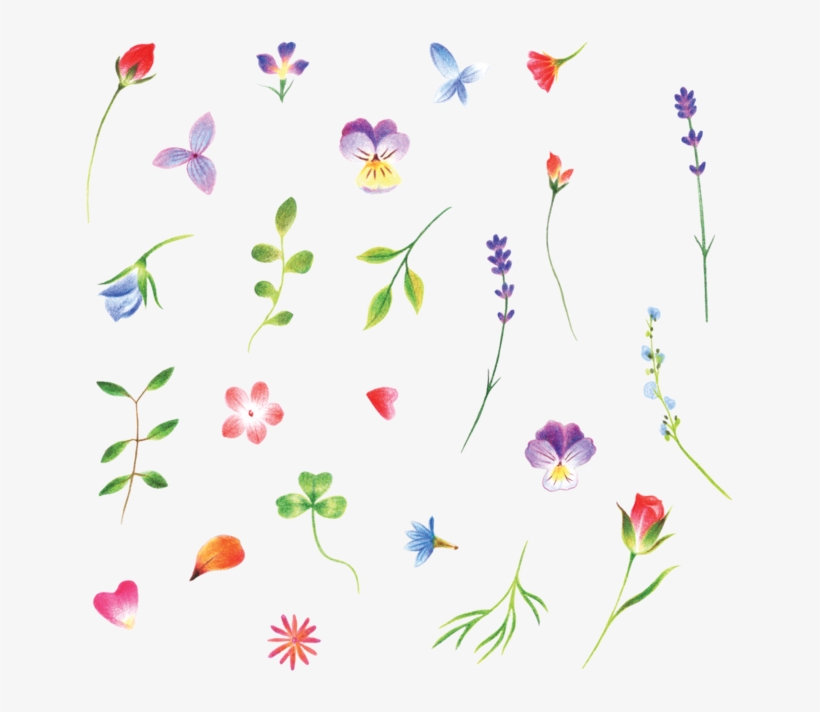 These Tiny Flowers By Jess Chen Have Completely Won - Tattly, transparent png download