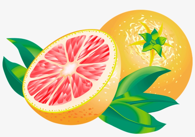 Grapefruit Clipart Transparent - Grape, transparent png download