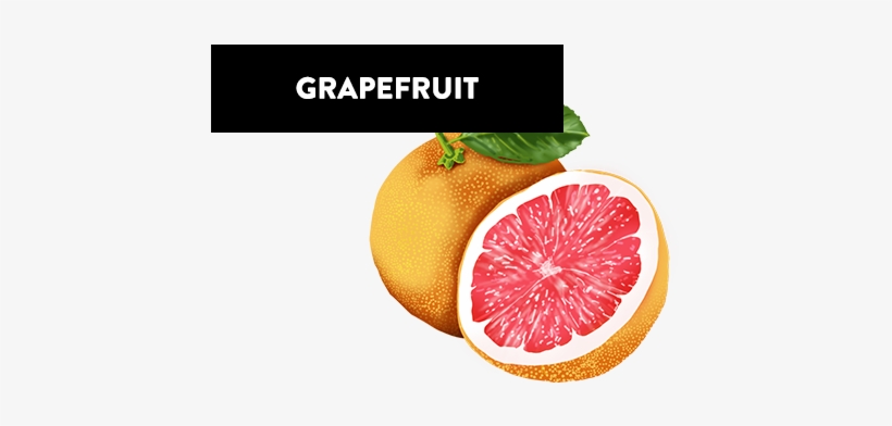Grapefruit - Arte Fiera, transparent png download