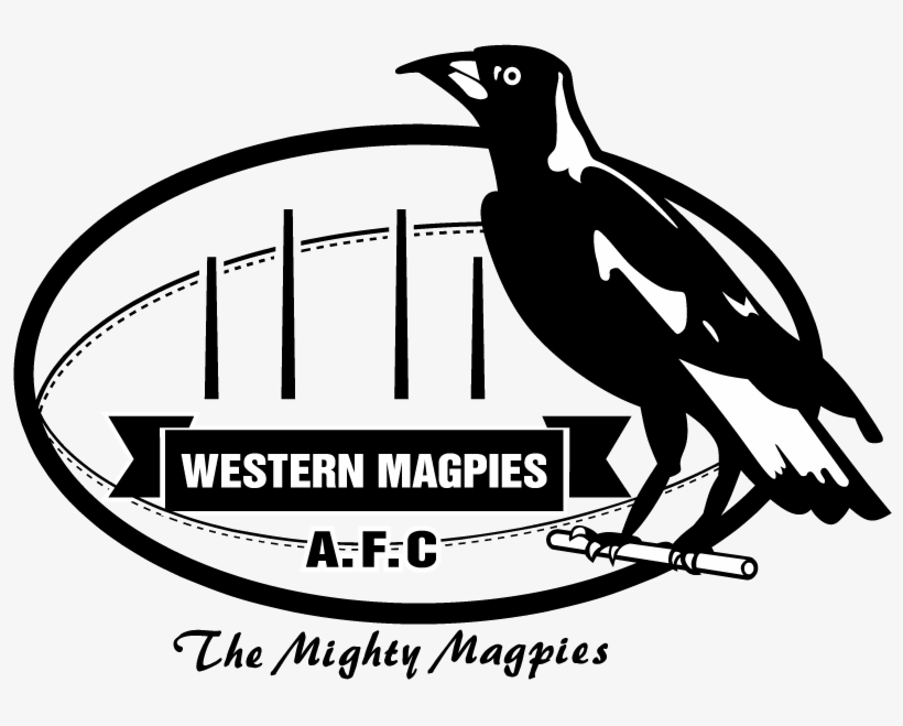 Western Png - Sherwood Magpies, transparent png download