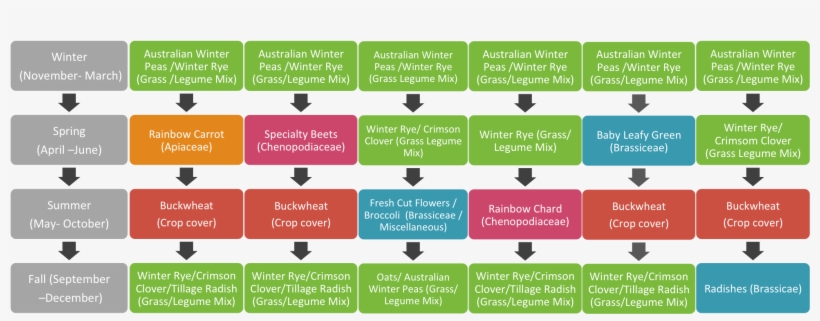 2016 Crop Rotation - Timeline Of Crop Rotation, transparent png download
