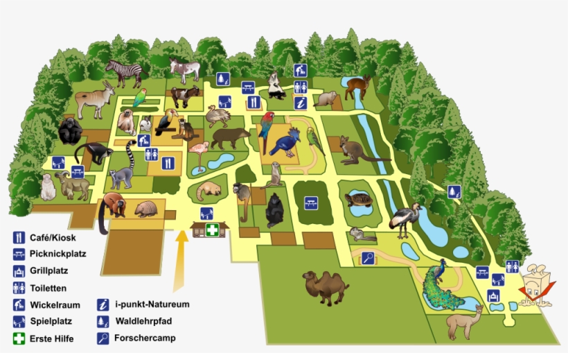 Gettorf Animal Park - Gettorf Zoo, transparent png download