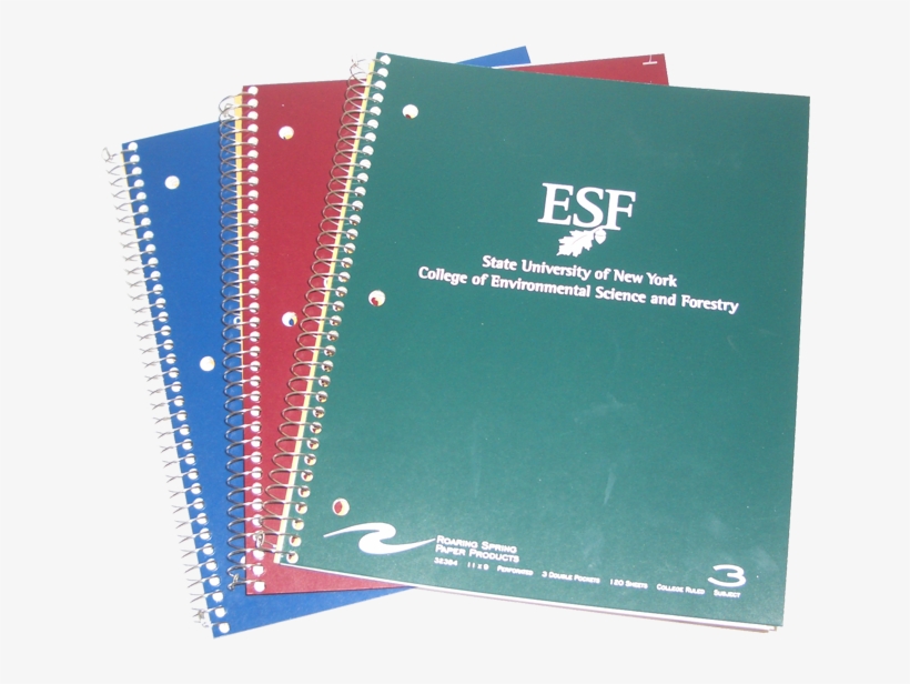 Paper, transparent png download