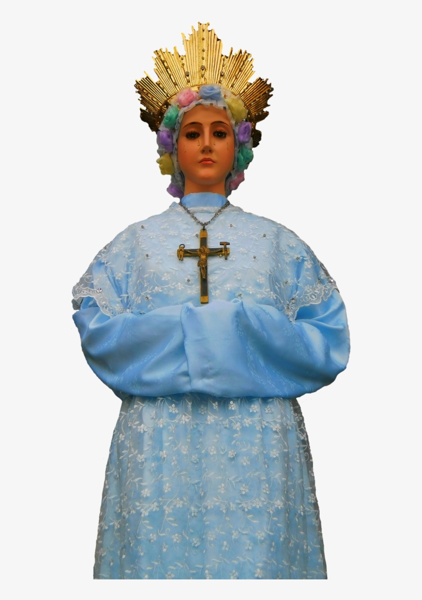 On The Anniversary Of The Apparition Of The Blessed - Bishop, transparent png download