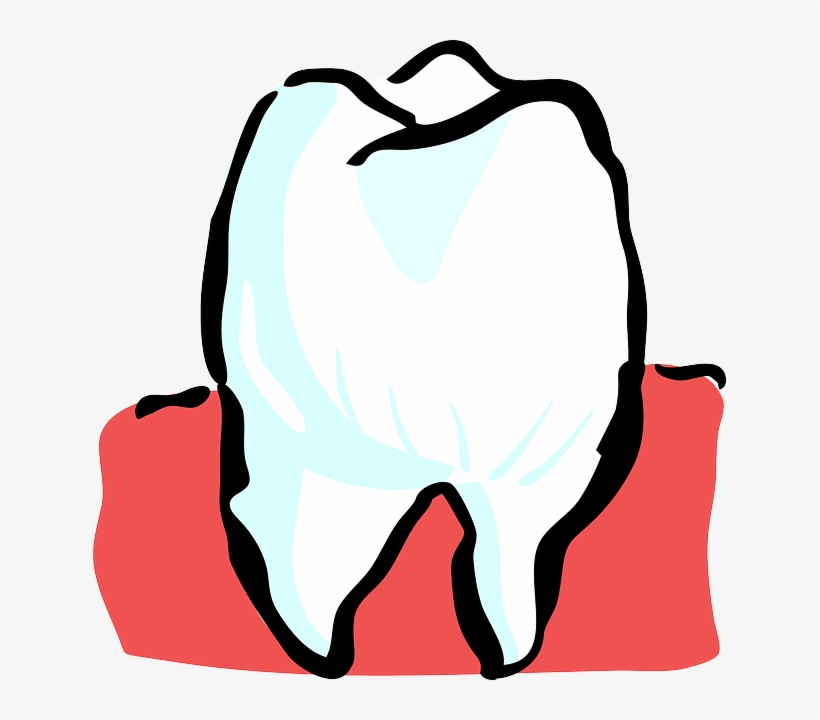 Healing Brushing Teeth Clipart - Tooth Parts Of The Body, transparent png download