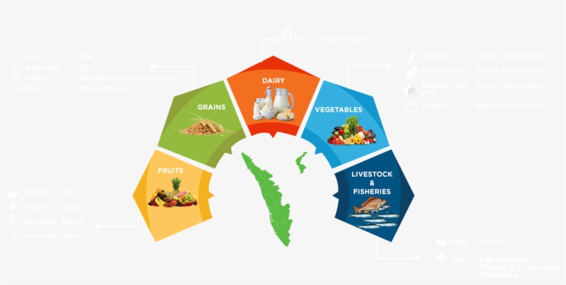 Key Production Statistics - Food Industries In Andhra Pradesh, transparent png download