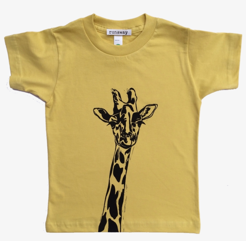 Rcd2, transparent png download