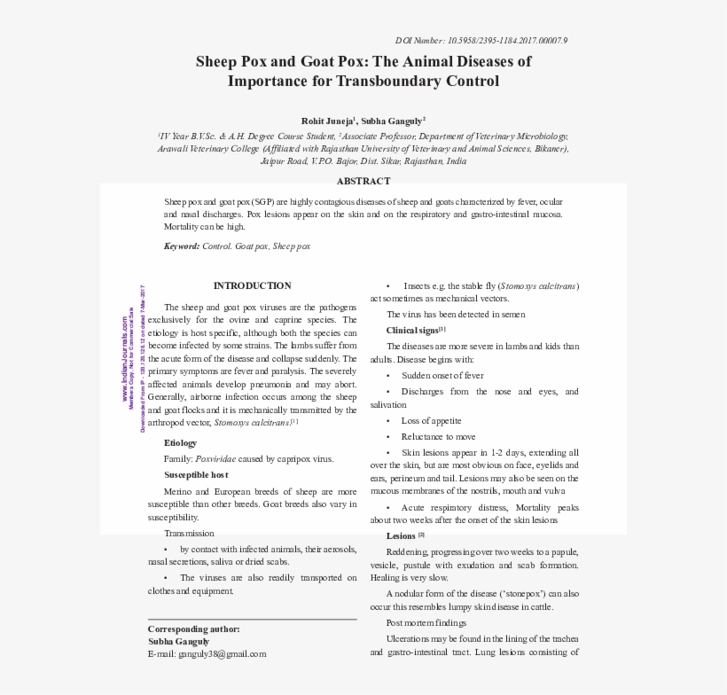 Pdf - Document, transparent png download