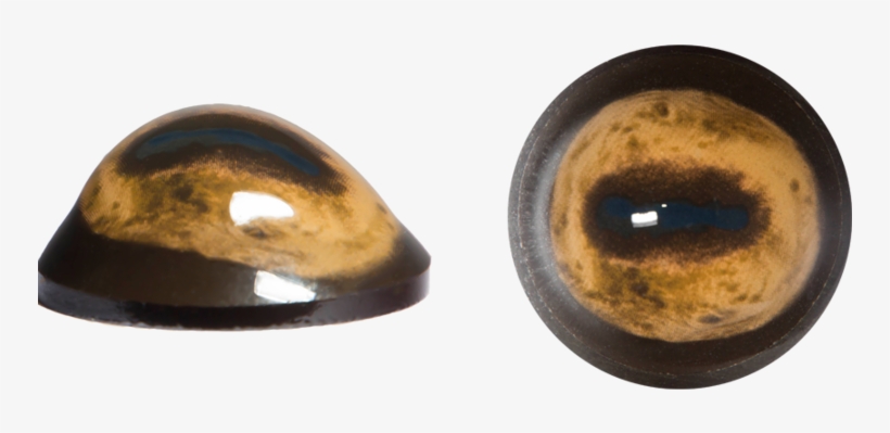 Circle, transparent png download