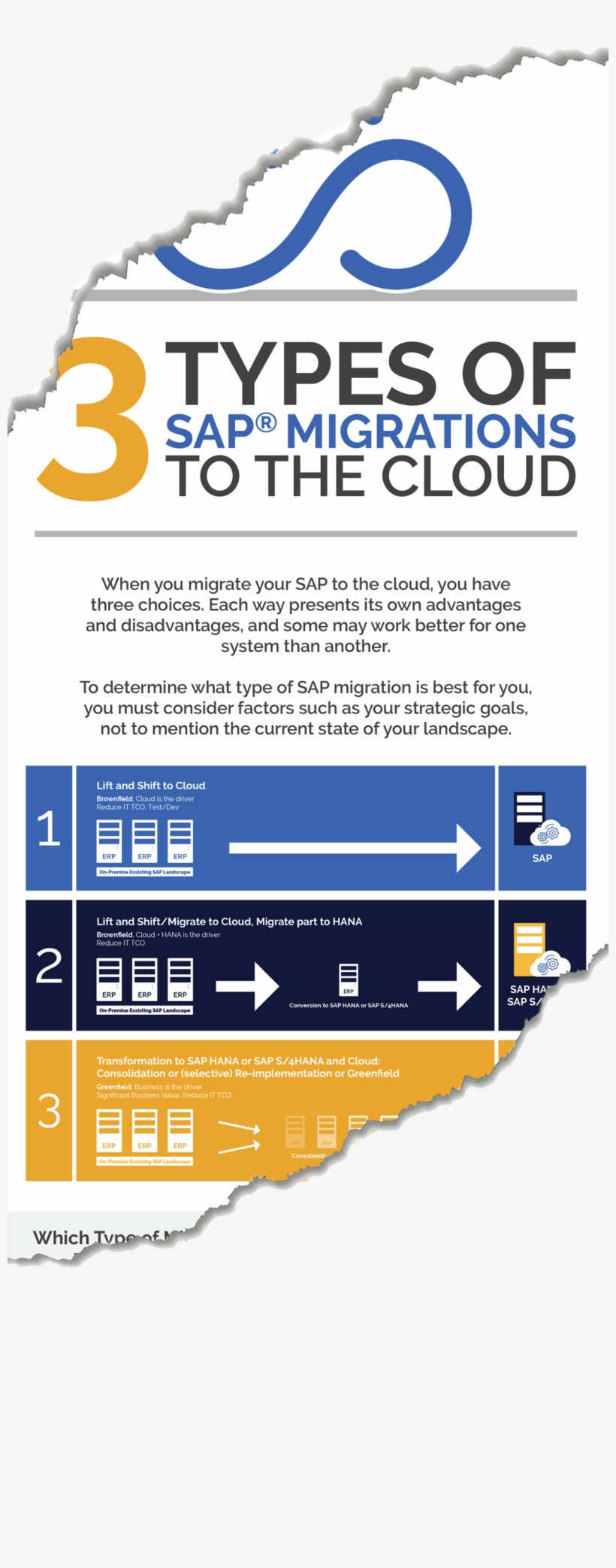 Infographic Form 3 Types Of Sap Migrations To The Cloud - Poster, transparent png download