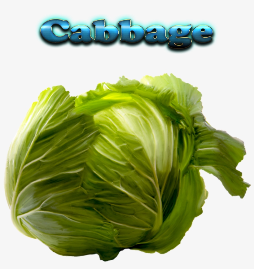 Cabbage Free Download Png - Cabbage With Name, transparent png download