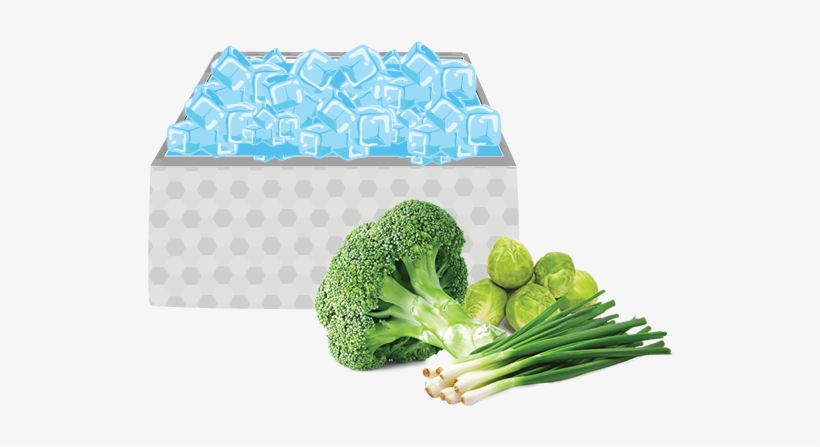 Suitable Vegetables Broccoli, Carrots, Chinese Cabbage, - Ice Cooling Of Fruits And Vegetables, transparent png download