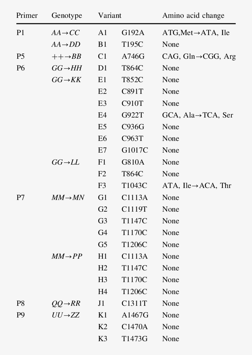 Polymorphic Sequence Variations In Bmpr-ib Gene In - Document, transparent png download