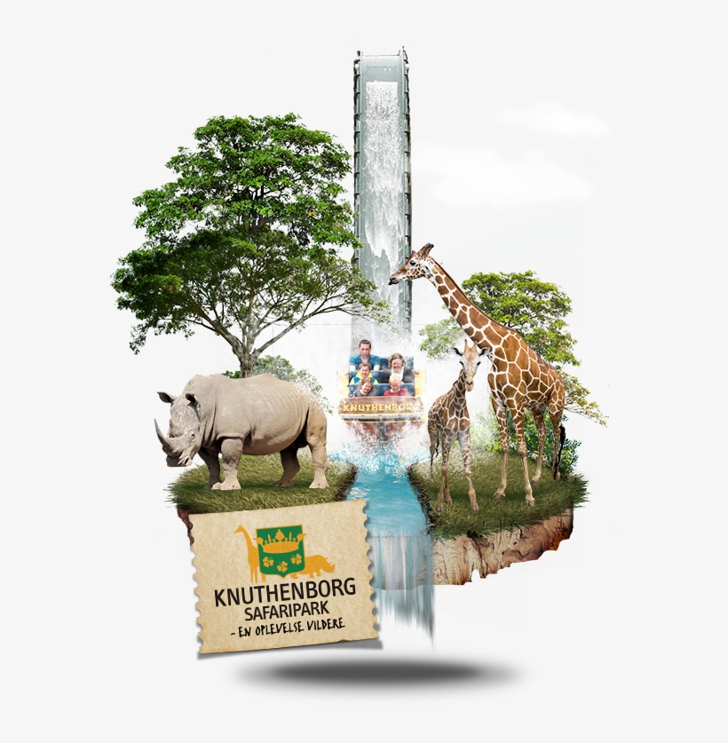 Besøg Knuthenborg Safaripark I Nærheden Af Bonbon-land - Knuthenborg Safaripark, transparent png download
