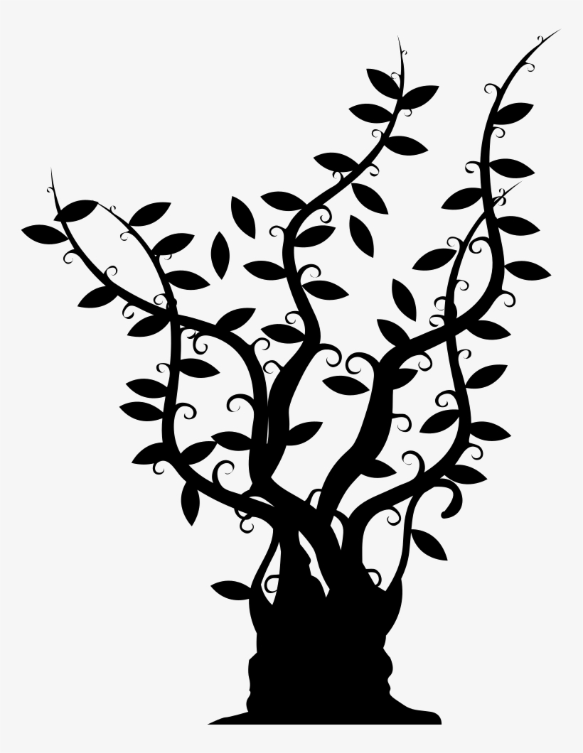 Tree Of Gross Trunk With Long Thin Branches With Leaves - Árboles Con Ramas Largas, transparent png download