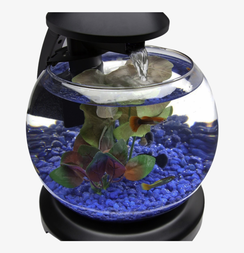 Glob Aquarium Fish Tank Png Transparent Image - Aquarium Design, transparent png download