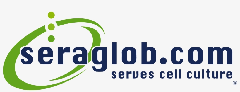 Seraglob - Graphic Design, transparent png download