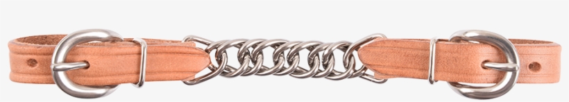 Harness Flat Chain Curb Strap - Buckle, transparent png download