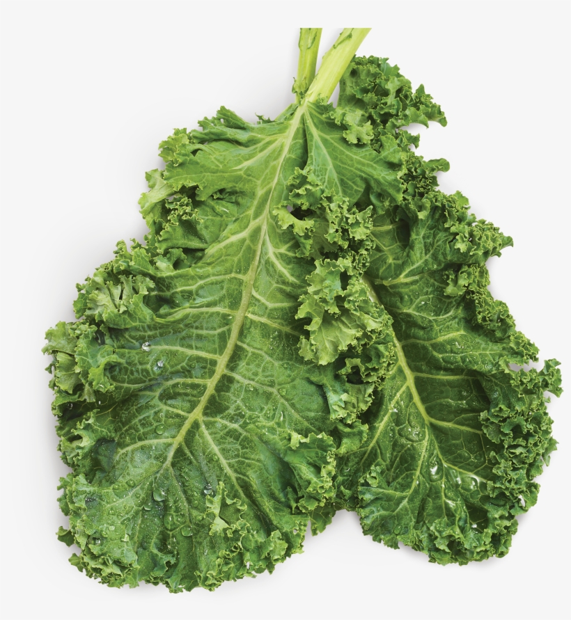 Beneful Superfood Dry Dog Food Kale Ingredient, transparent png download