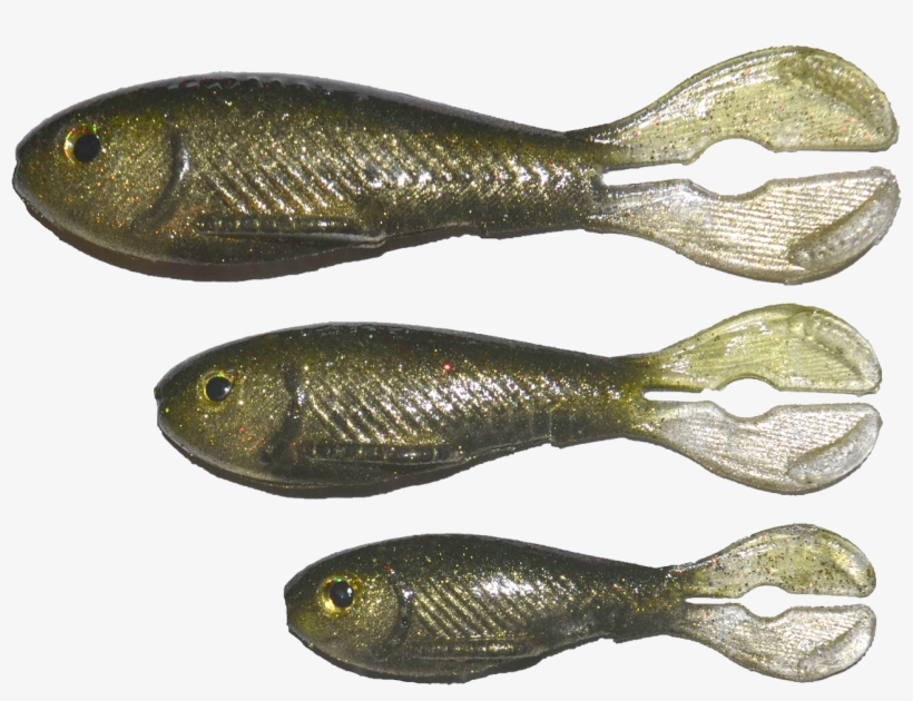 The Swimming Action Along With The Realistic Profile - Pomacentridae, transparent png download