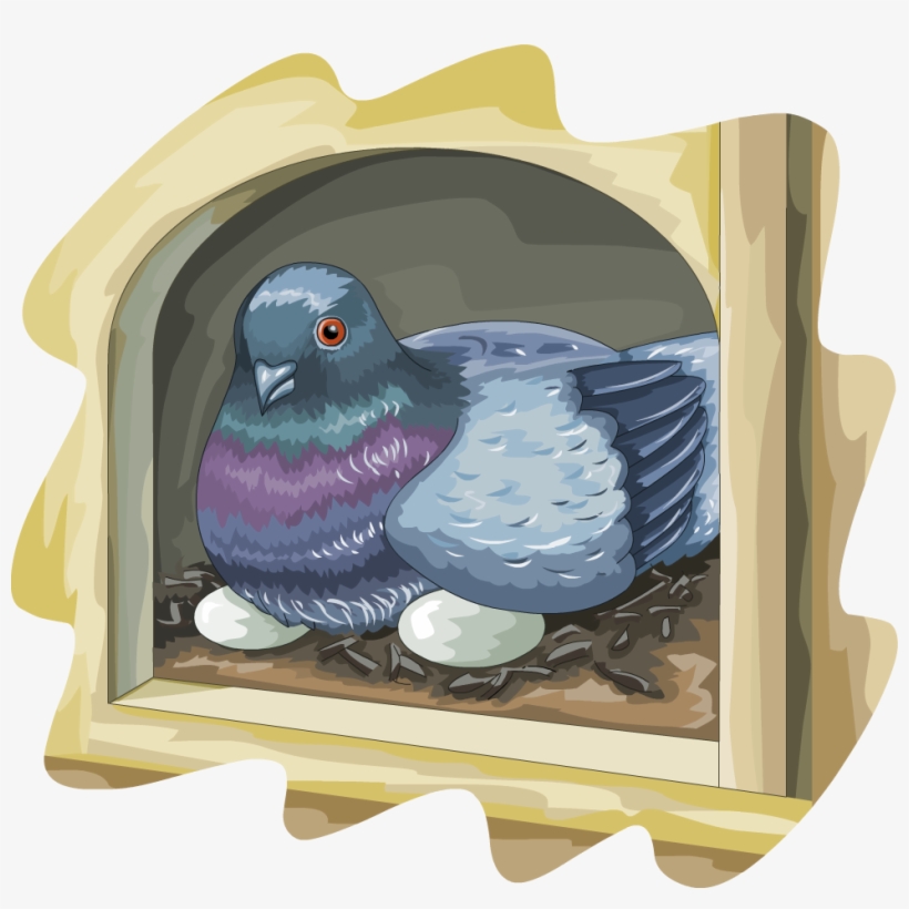 Illustrations - Pigeons And Doves, transparent png download
