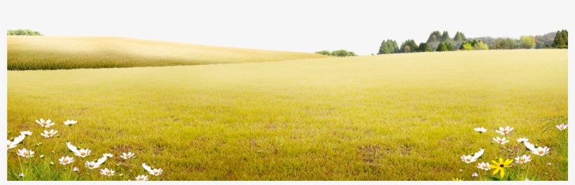 4500 X 2957 11, transparent png download